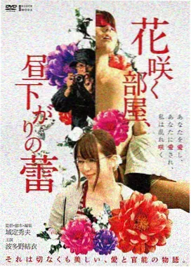 日本电影情书海报